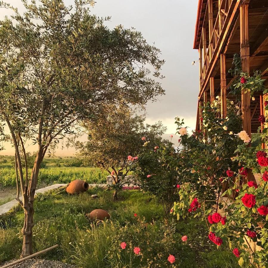 Elizbar Talakvadze Winery Villa Kardanakhi Ngoại thất bức ảnh