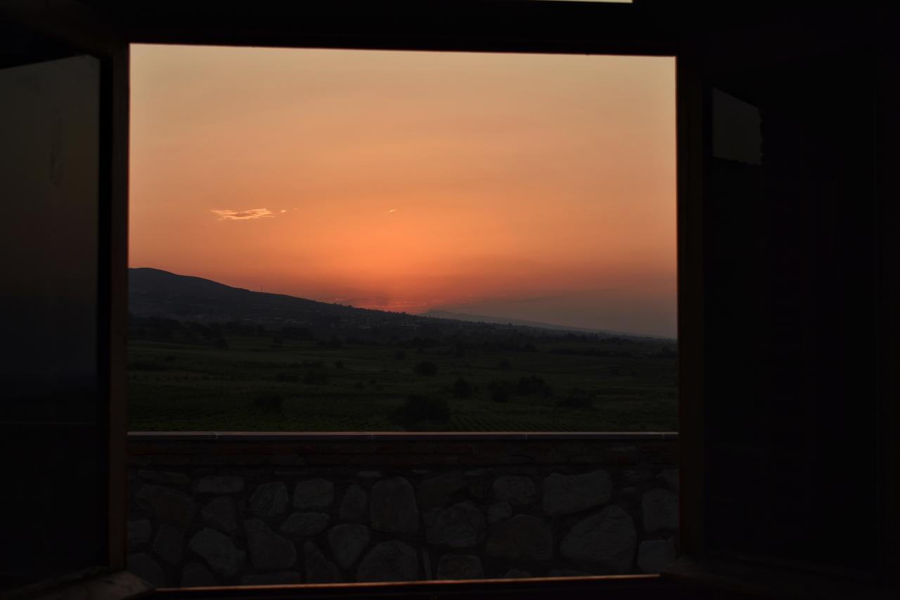 Elizbar Talakvadze Winery Villa Kardanakhi Ngoại thất bức ảnh