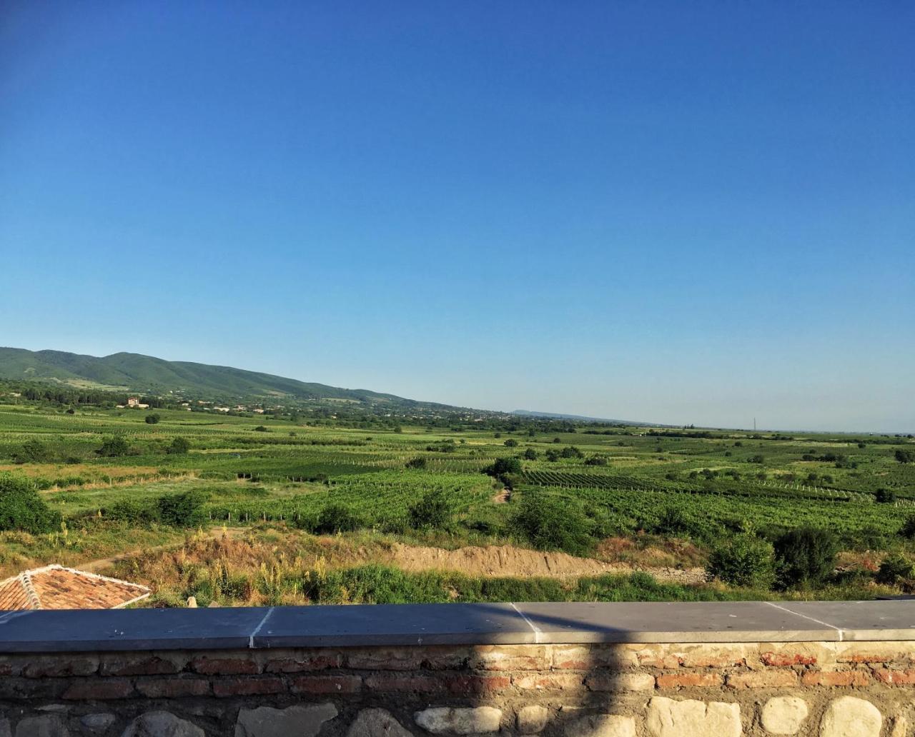 Elizbar Talakvadze Winery Villa Kardanakhi Ngoại thất bức ảnh